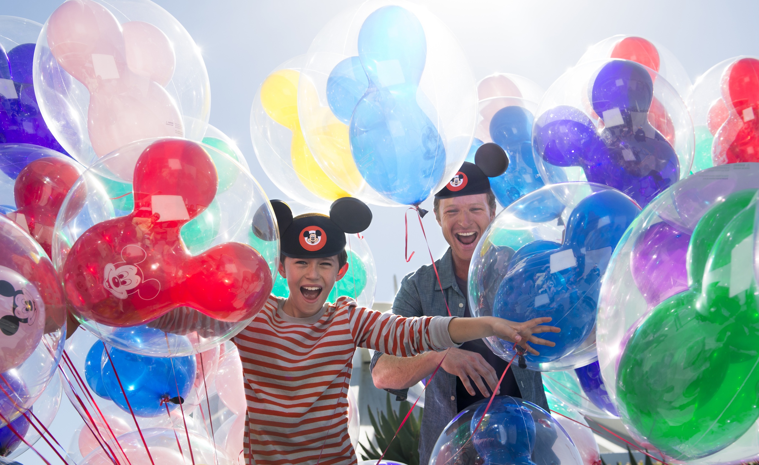 2015 Walt Disney World® Play, Stay, Dine and Save Offer