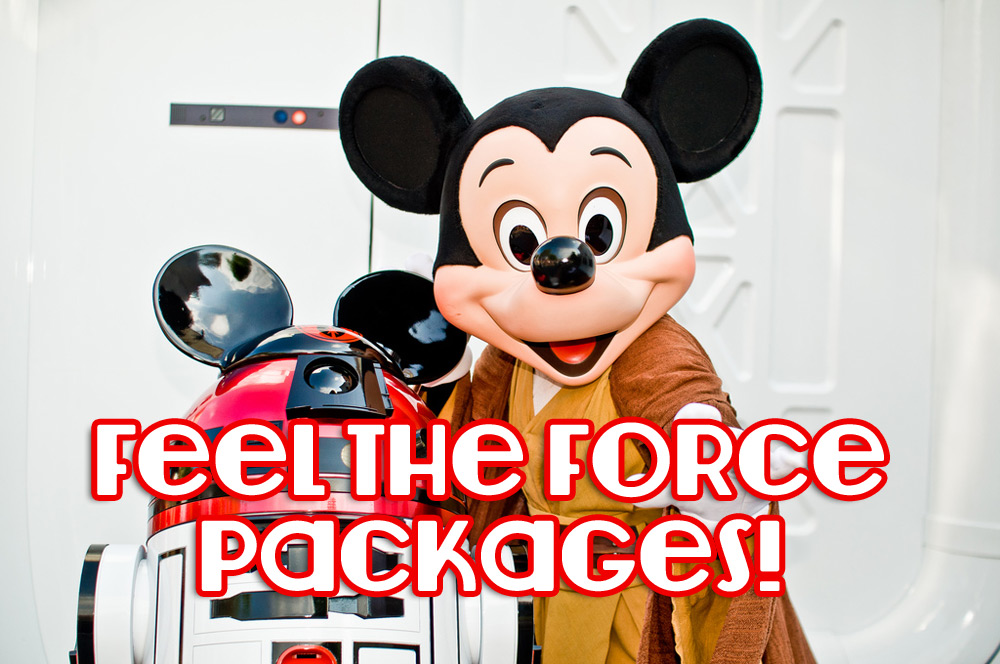 2015 Star Wars Feel the Force Packages