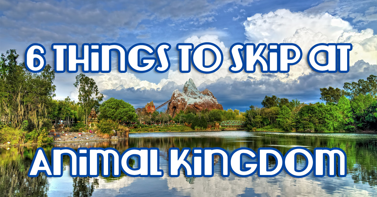 6 Things to Skip at Disney’s Animal Kingdom