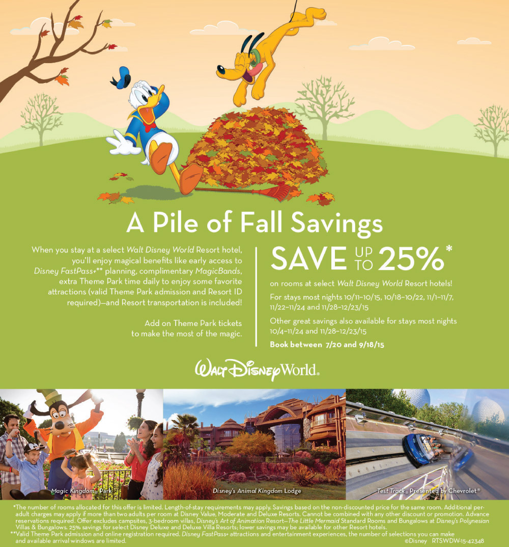 Disney Fall Discount
