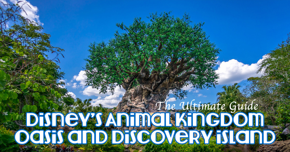 Ultimate Guide to Animal Kingdom’s Oasis and Discovery Island