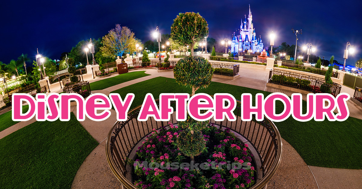 Disney After Hours – Animal Kingdom and Hollywood Studios
