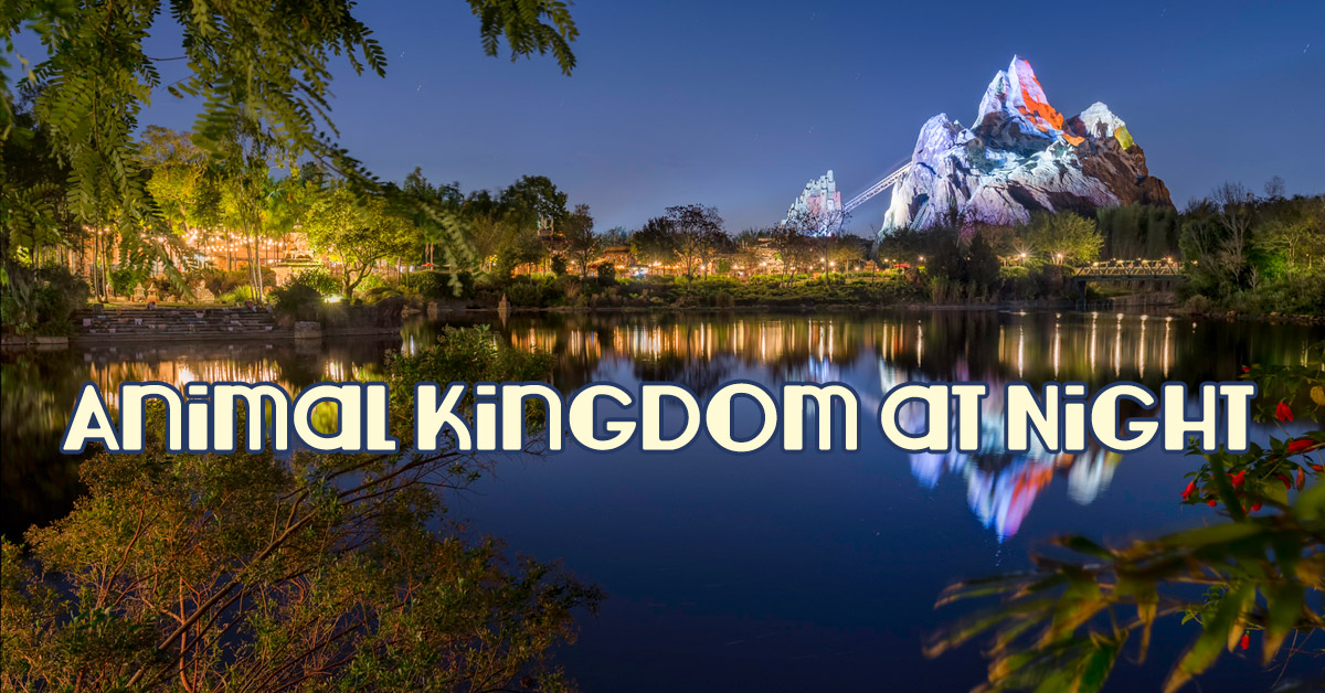 Disney’s Animal Kingdom at Night