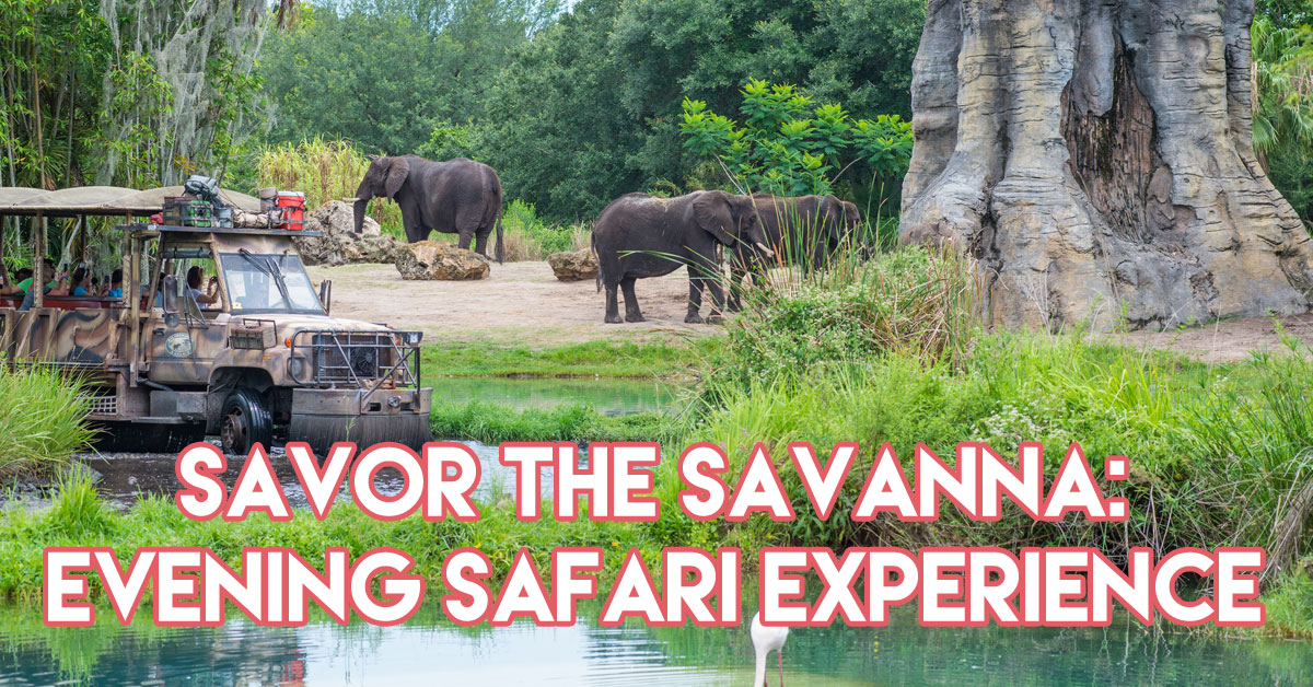 savor the savanna evening safari experience