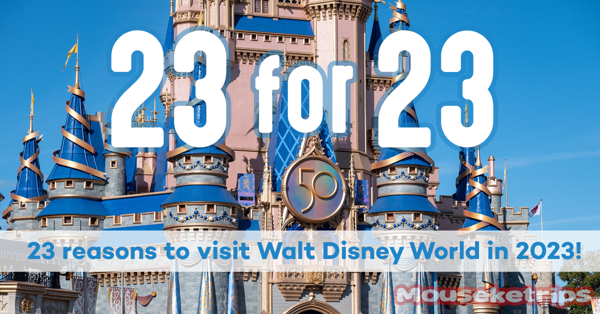 Visit Walt Disney World in 2023